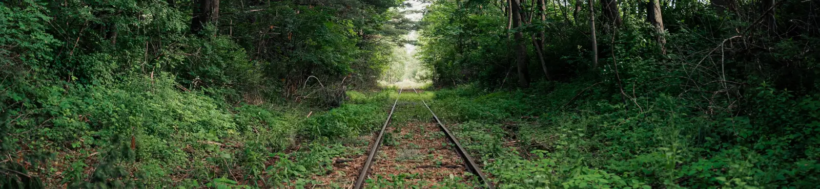 Gift card banner background image