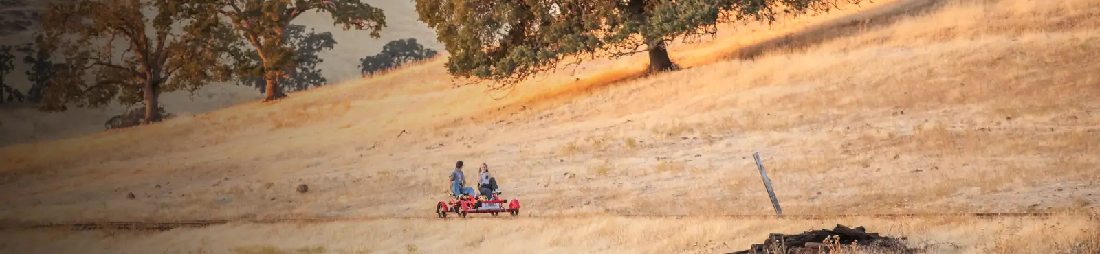 Newsletter banner background image